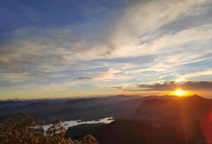 بنسيون Queensark