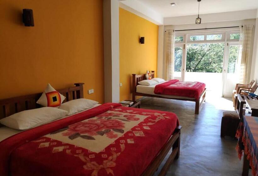 بنسيون Queensark