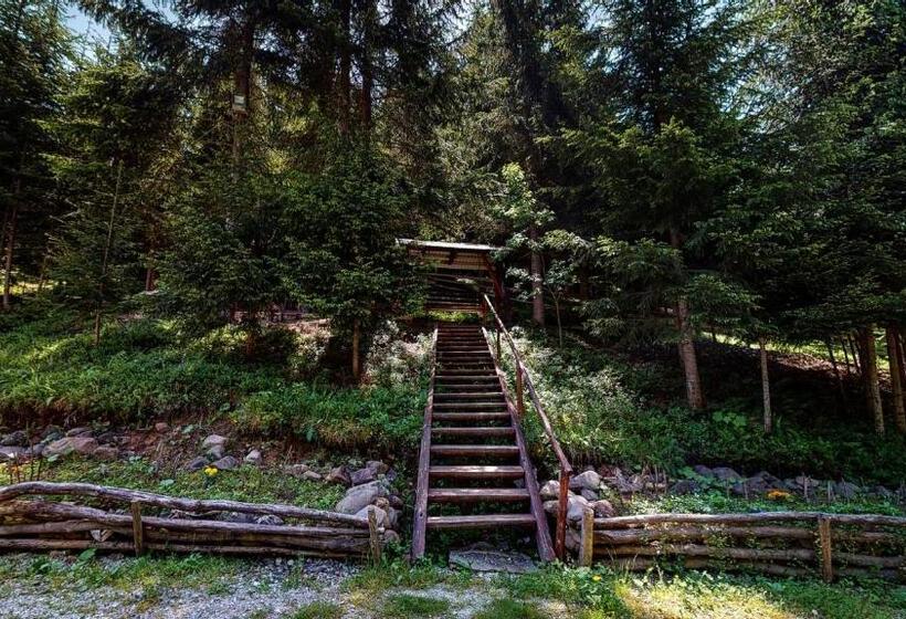 Pensão Perla Sarisorului