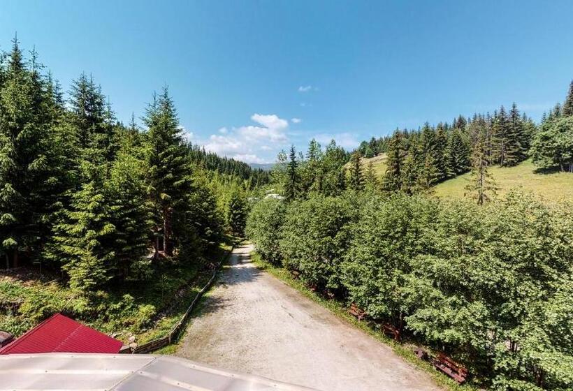 Pensão Perla Sarisorului