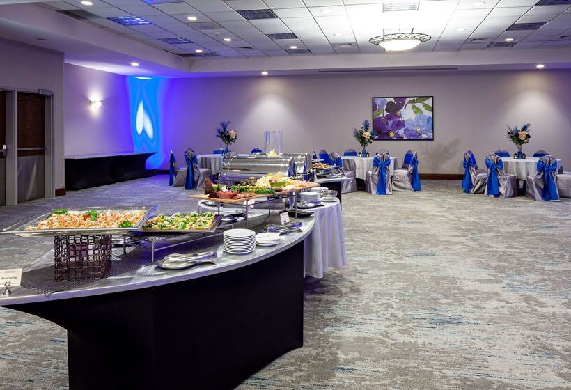 בית מלון כפרי Hilton Garden Inn Chicago O Hare Airport