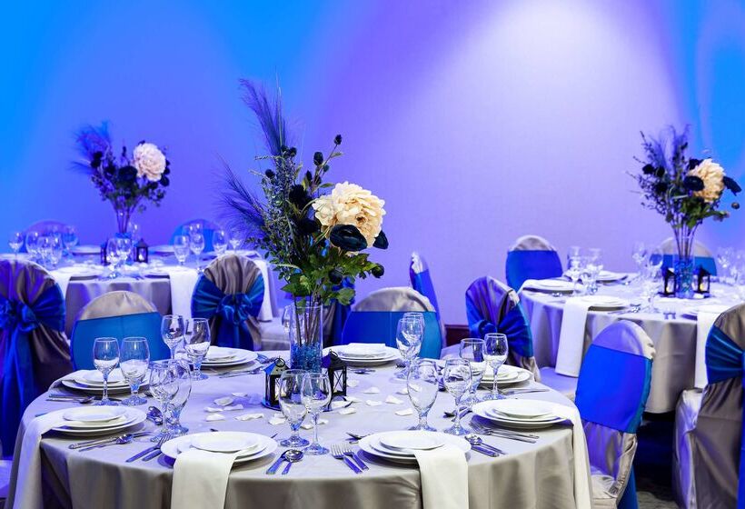 בית מלון כפרי Hilton Garden Inn Chicago O Hare Airport