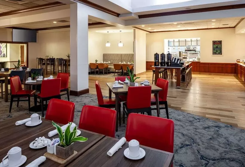 호텔 Hilton Garden Inn Chicago O Hare Airport