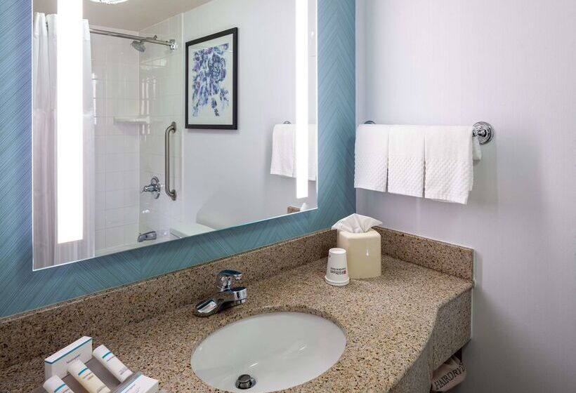 בית מלון כפרי Hilton Garden Inn Chicago O Hare Airport