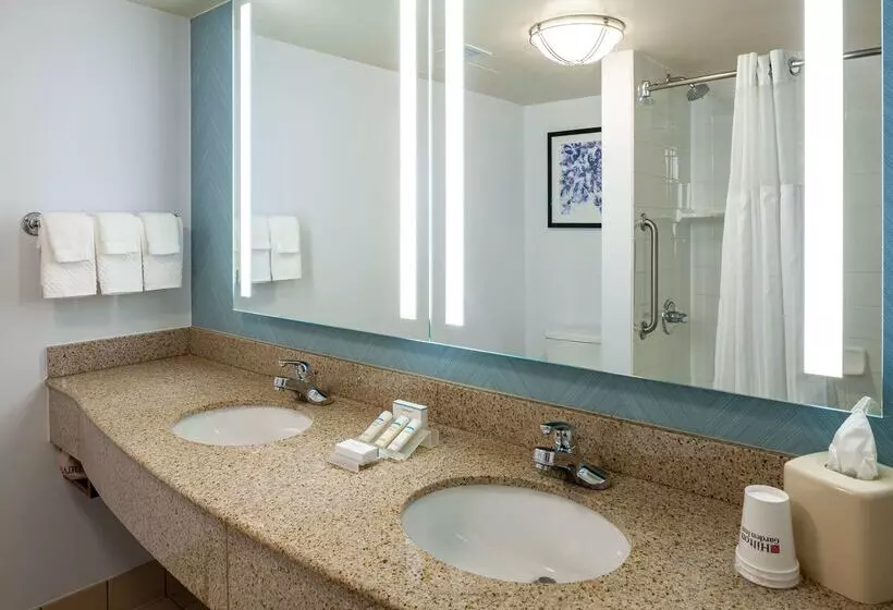 호텔 Hilton Garden Inn Chicago O Hare Airport