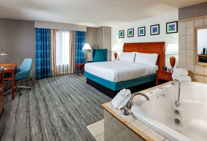 בית מלון כפרי Hilton Garden Inn Chicago O Hare Airport