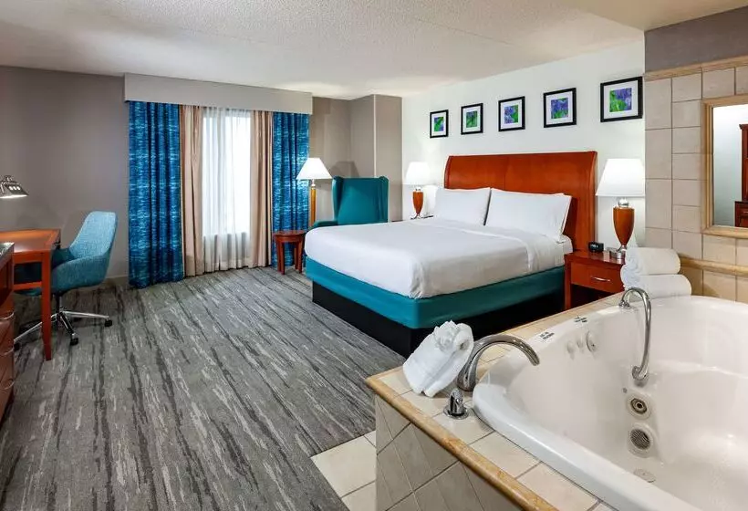 호텔 Hilton Garden Inn Chicago O Hare Airport