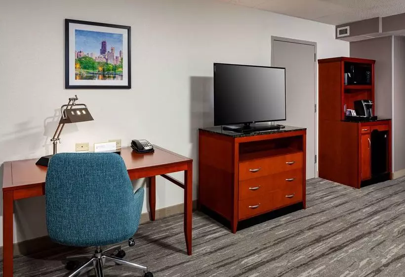 호텔 Hilton Garden Inn Chicago O Hare Airport