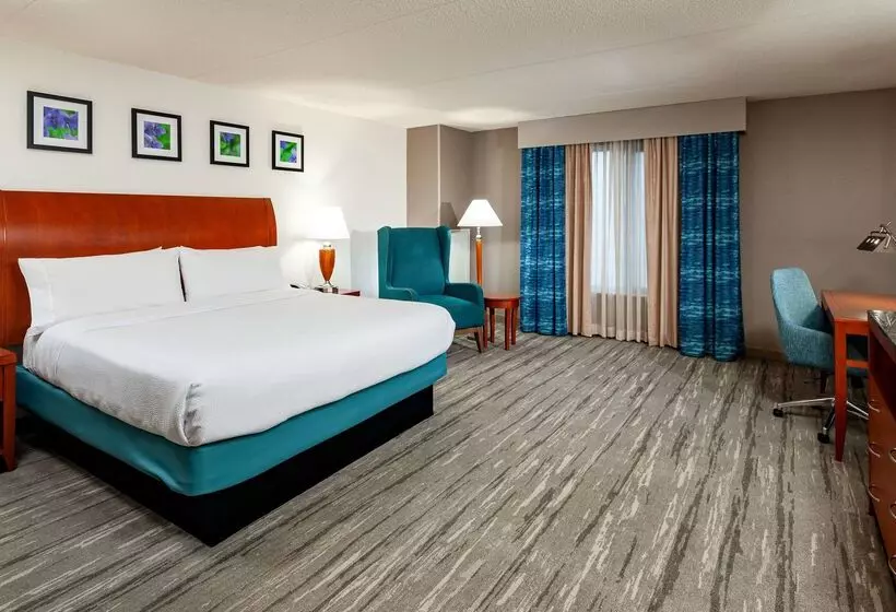 호텔 Hilton Garden Inn Chicago O Hare Airport