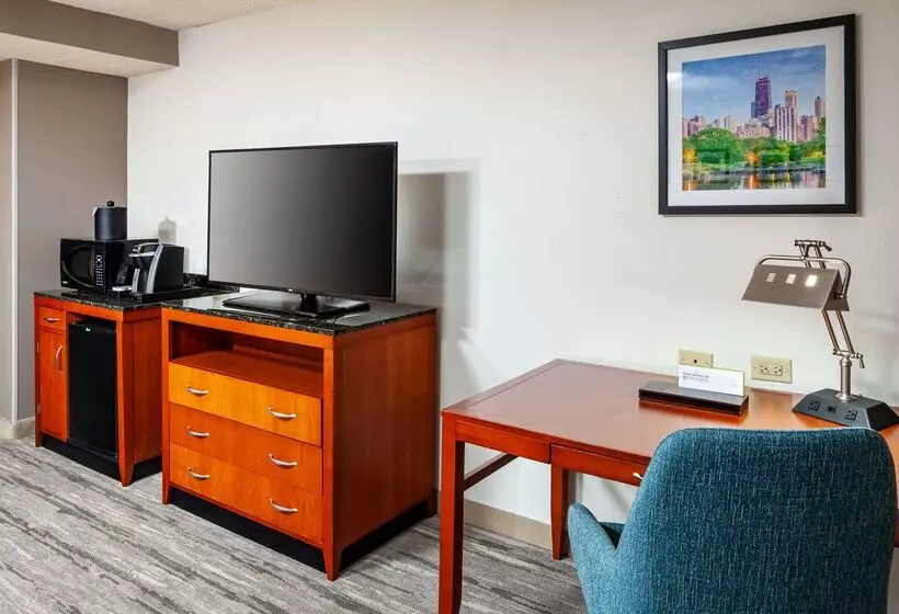 호텔 Hilton Garden Inn Chicago O Hare Airport