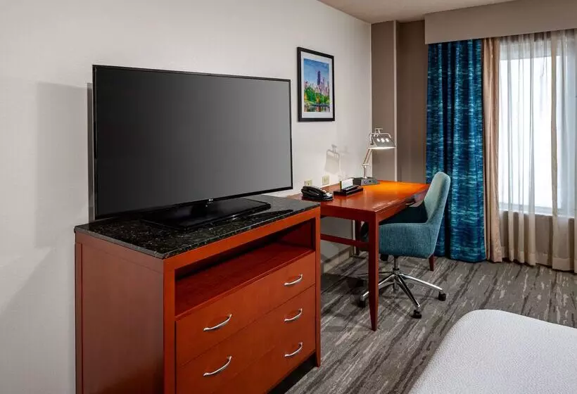 호텔 Hilton Garden Inn Chicago O Hare Airport