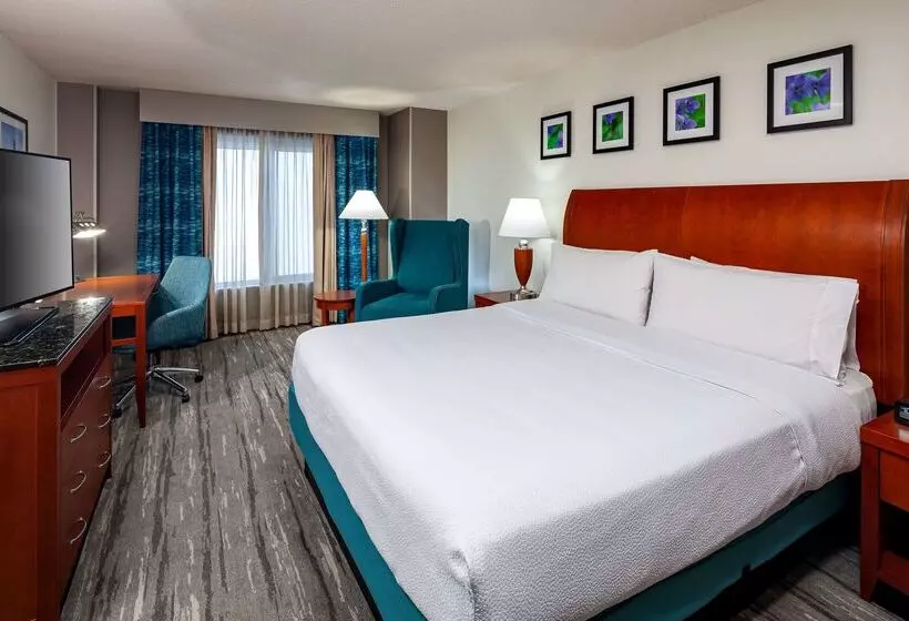 호텔 Hilton Garden Inn Chicago O Hare Airport