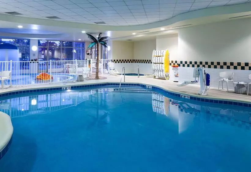 호텔 Hilton Garden Inn Chicago O Hare Airport