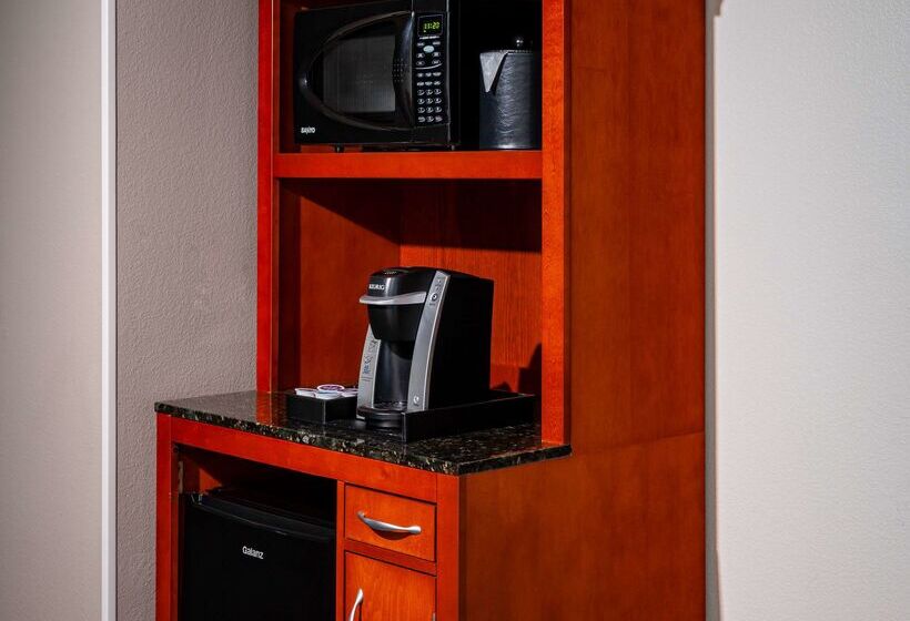 בית מלון כפרי Hilton Garden Inn Chicago O Hare Airport