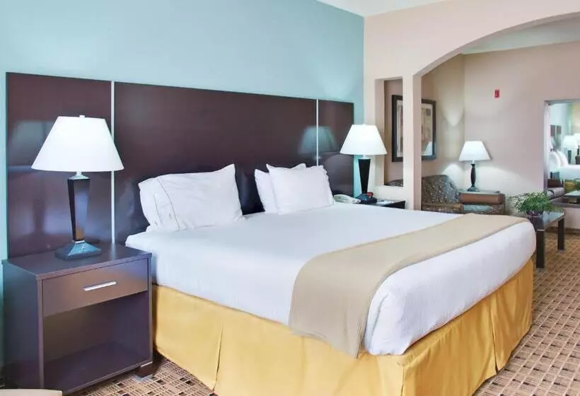 Holiday Inn Express Hotel & Suites Houston Energy Corridor   West Oaks, An Ihg