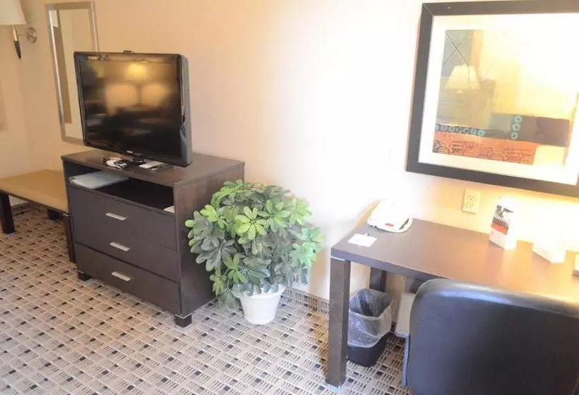 Holiday Inn Express Hotel & Suites Houston Energy Corridor   West Oaks, An Ihg