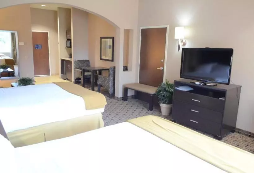 Holiday Inn Express Hotel & Suites Houston Energy Corridor   West Oaks, An Ihg