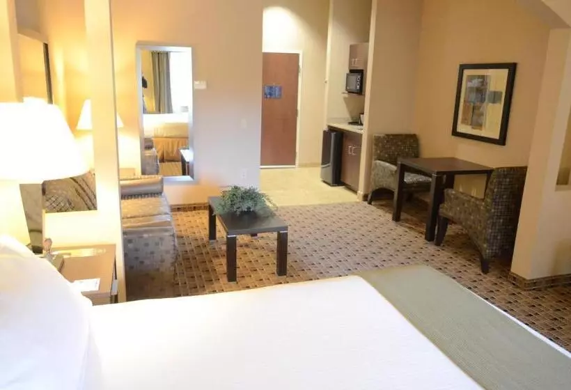 Holiday Inn Express Hotel & Suites Houston Energy Corridor   West Oaks, An Ihg