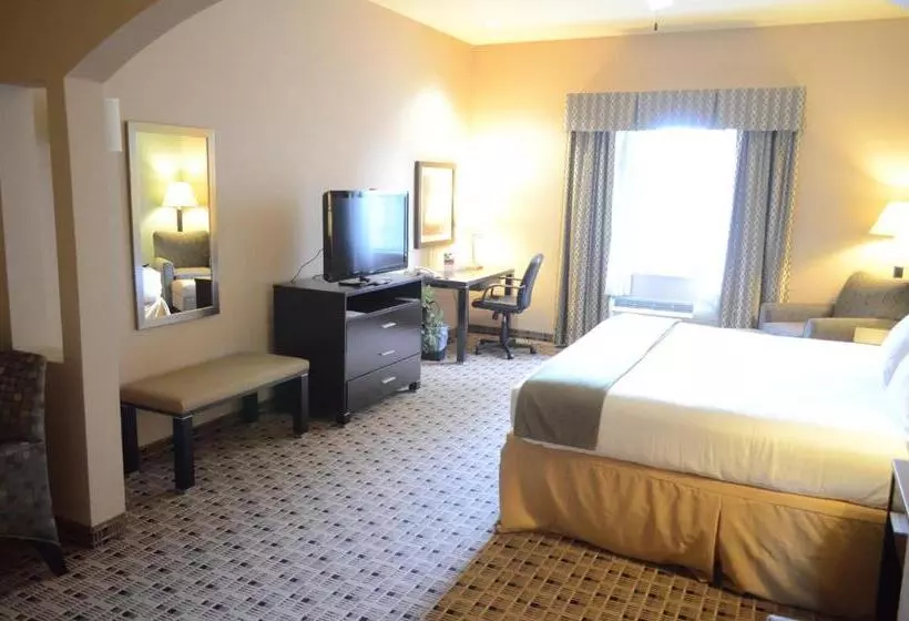 Holiday Inn Express Hotel & Suites Houston Energy Corridor   West Oaks, An Ihg