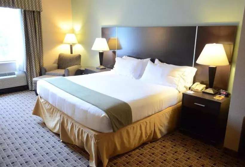 Holiday Inn Express Hotel & Suites Houston Energy Corridor   West Oaks, An Ihg