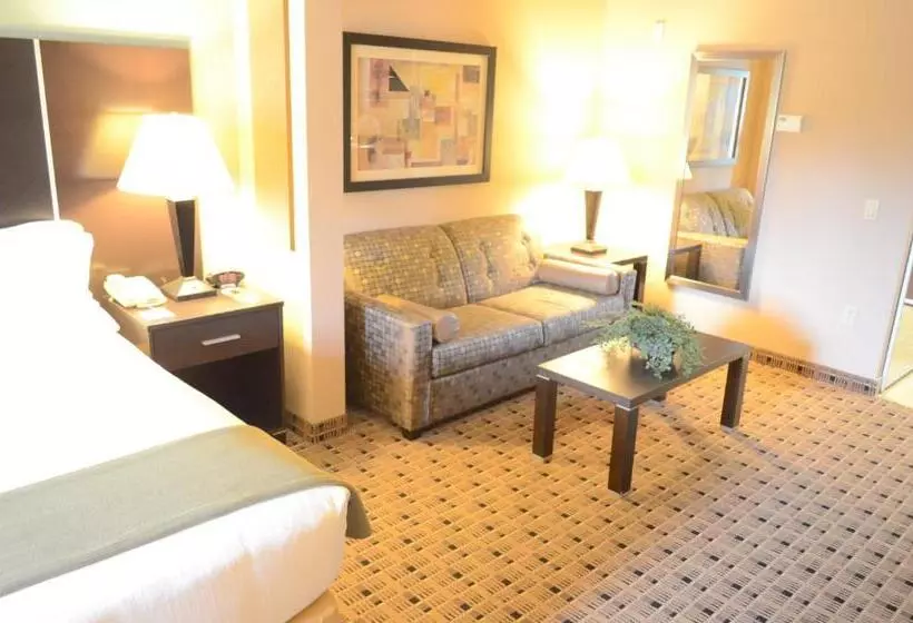 Holiday Inn Express Hotel & Suites Houston Energy Corridor   West Oaks, An Ihg