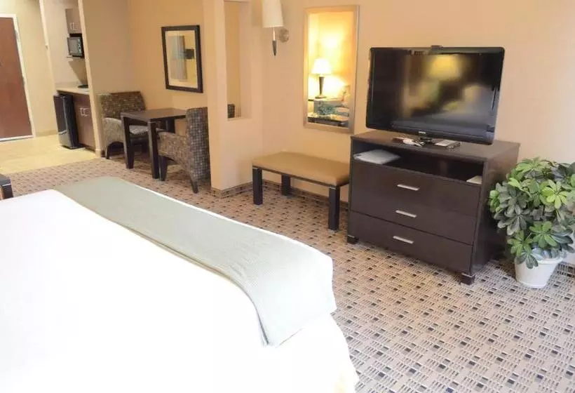 Holiday Inn Express Hotel & Suites Houston Energy Corridor   West Oaks, An Ihg