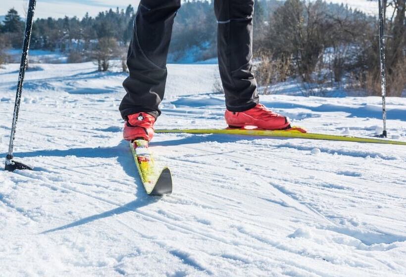 Holiday Inn Express Hotel & Suites North Bay, An Ihg