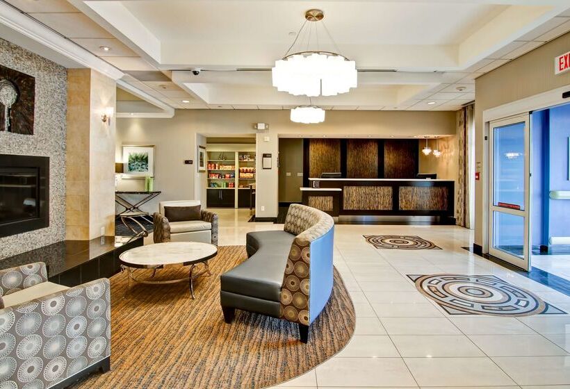 酒店 Homewood Suites By Hilton Toronto Markham