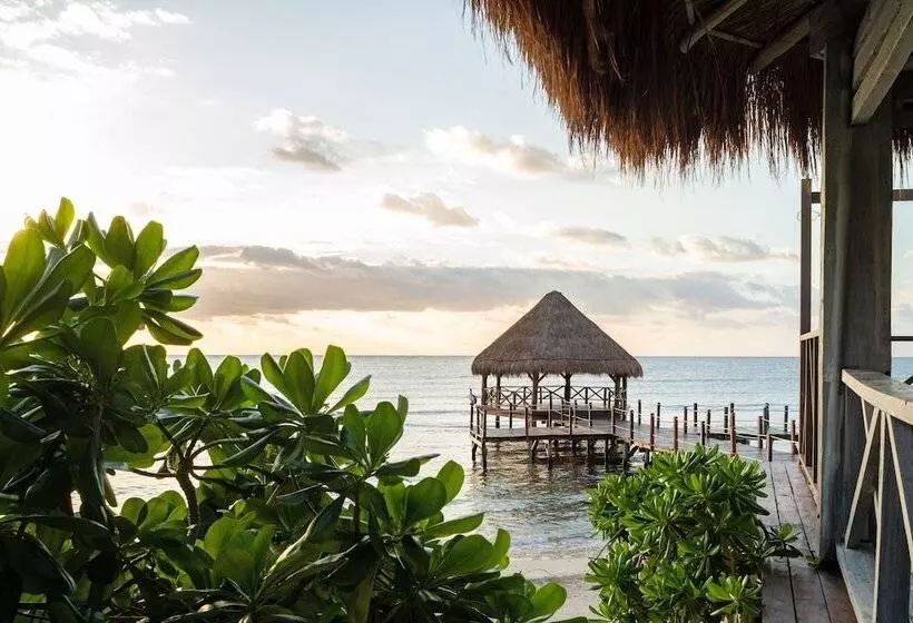 استراحتگاه Hyatt Ziva Riviera Cancun Allinclusive