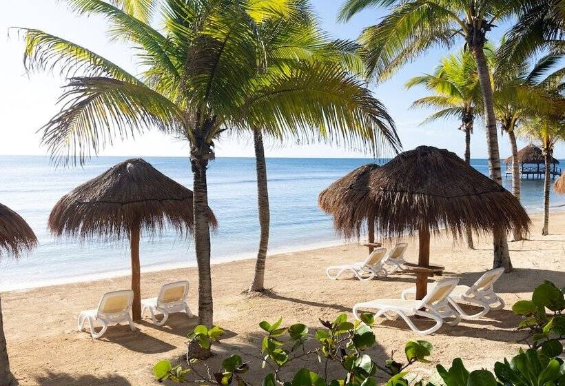 منتجع Hyatt Ziva Riviera Cancun Allinclusive