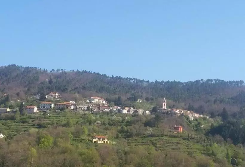 B&b Il Pergolo