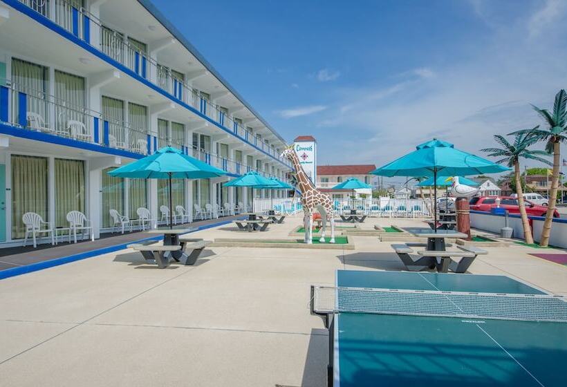 فندق على الطريق Compass Family Resort