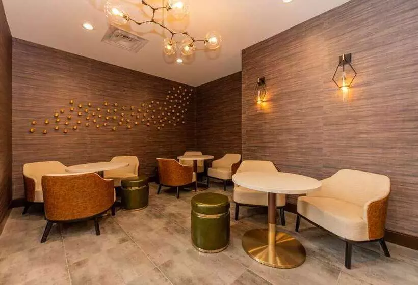 هتل Hampton Inn & Suites Houston Sugar Land