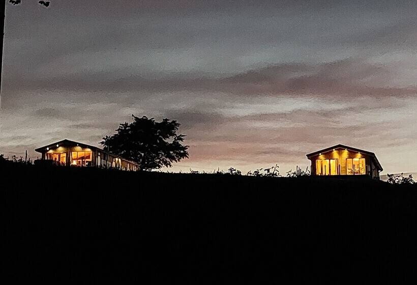 Luxury Family Beechwood Lodge With Hot Tub