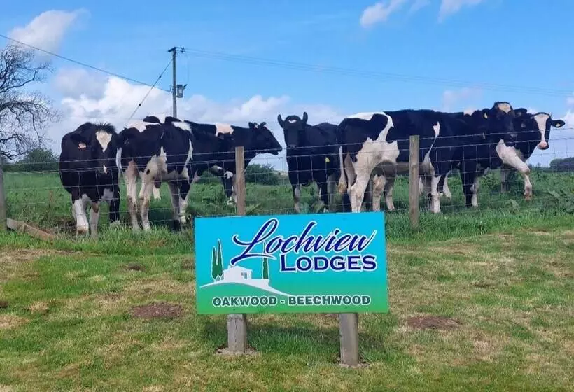 Luxury Family Beechwood Lodge With Hot Tub