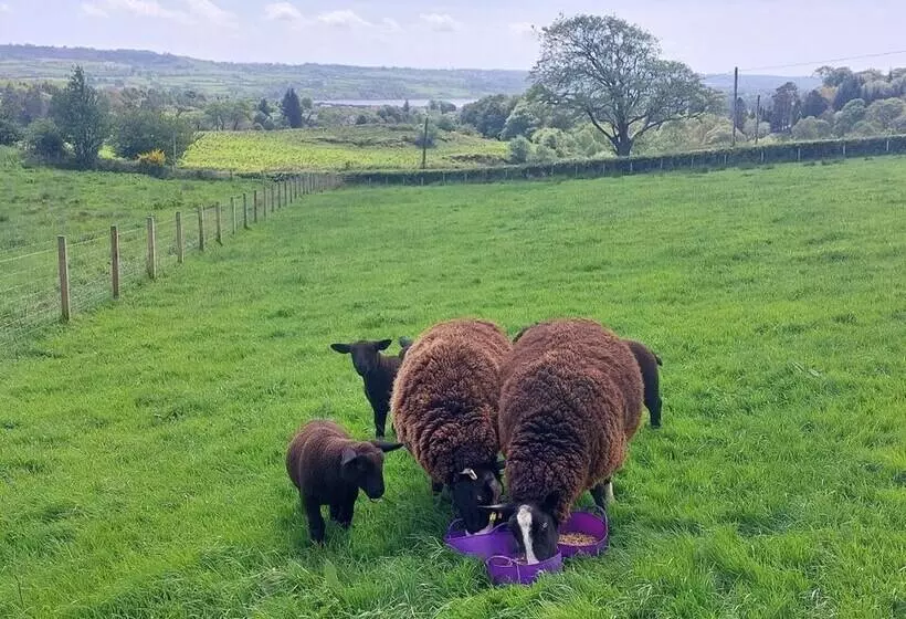 Luxury Family Beechwood Lodge With Hot Tub
