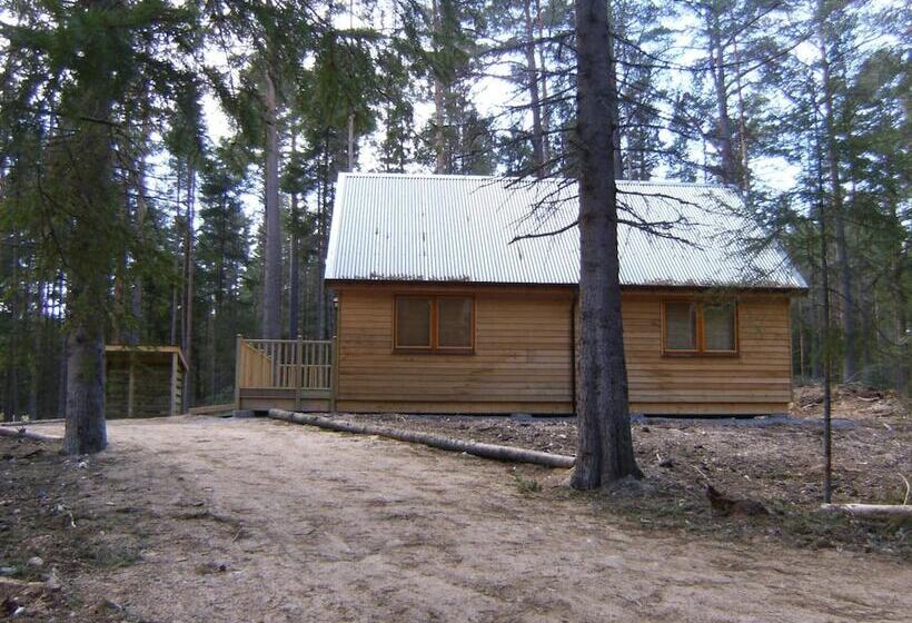 فندق Cairngorm Lodges