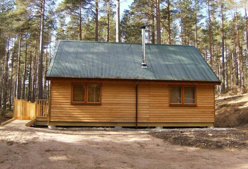 فندق Cairngorm Lodges