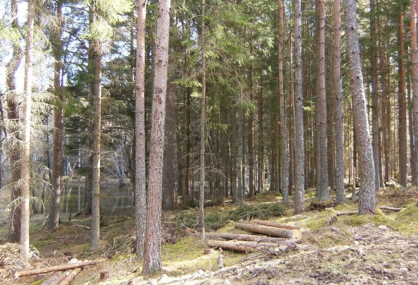 فندق Cairngorm Lodges