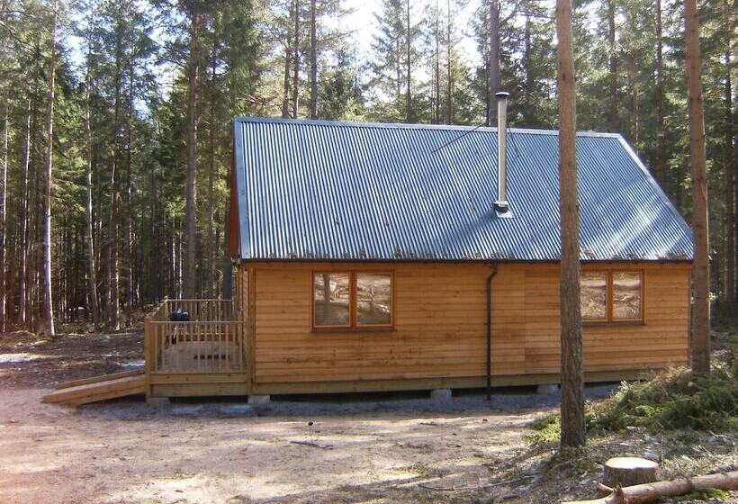 فندق Cairngorm Lodges