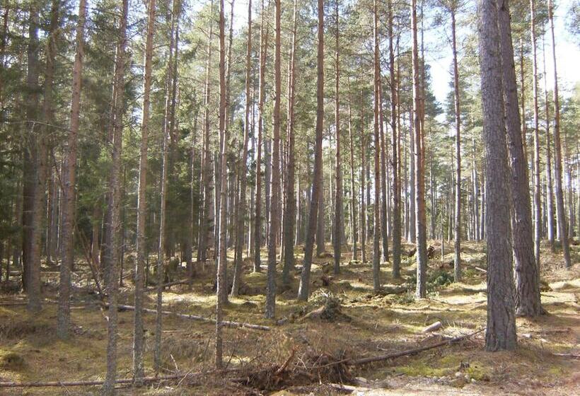 فندق Cairngorm Lodges