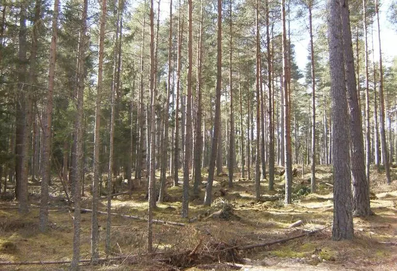 Hotelli Cairngorm Lodges