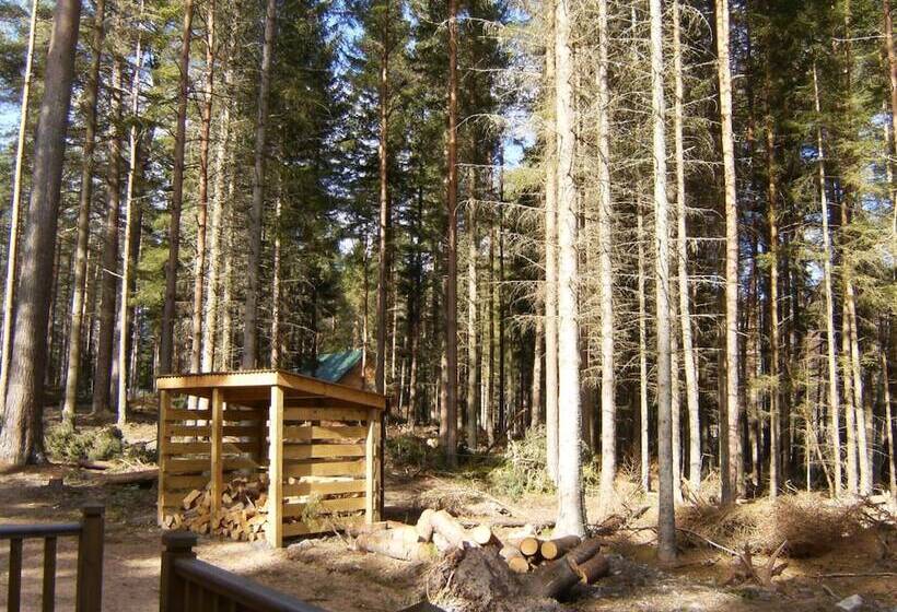 فندق Cairngorm Lodges