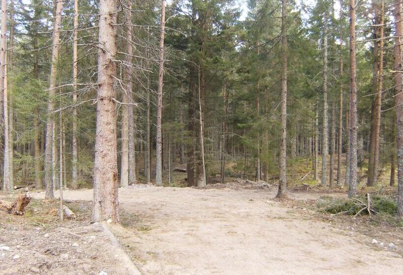 فندق Cairngorm Lodges