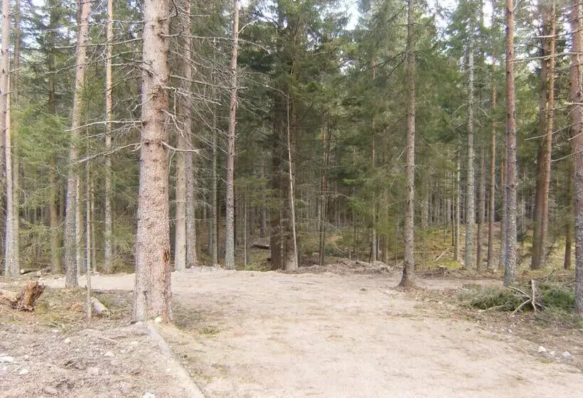 Hotelli Cairngorm Lodges