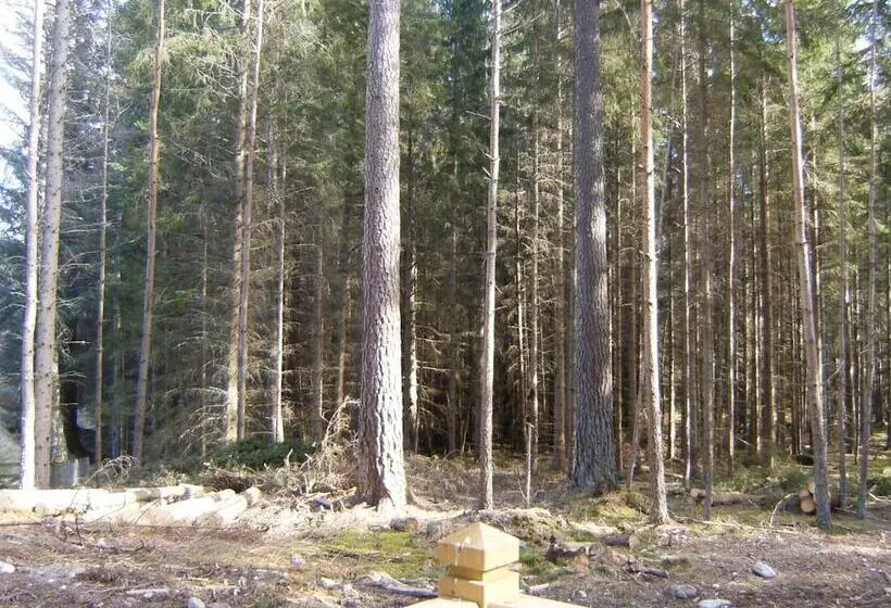 Hotelli Cairngorm Lodges