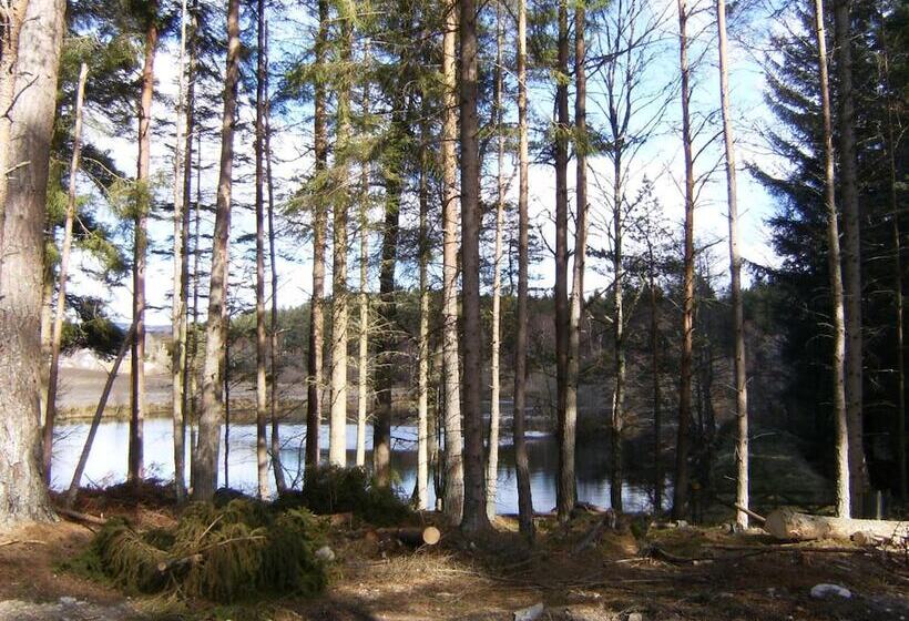 فندق Cairngorm Lodges