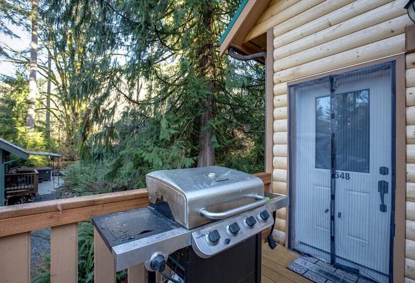 Mt Baker Lodging Cabin 2  Sleeps 8