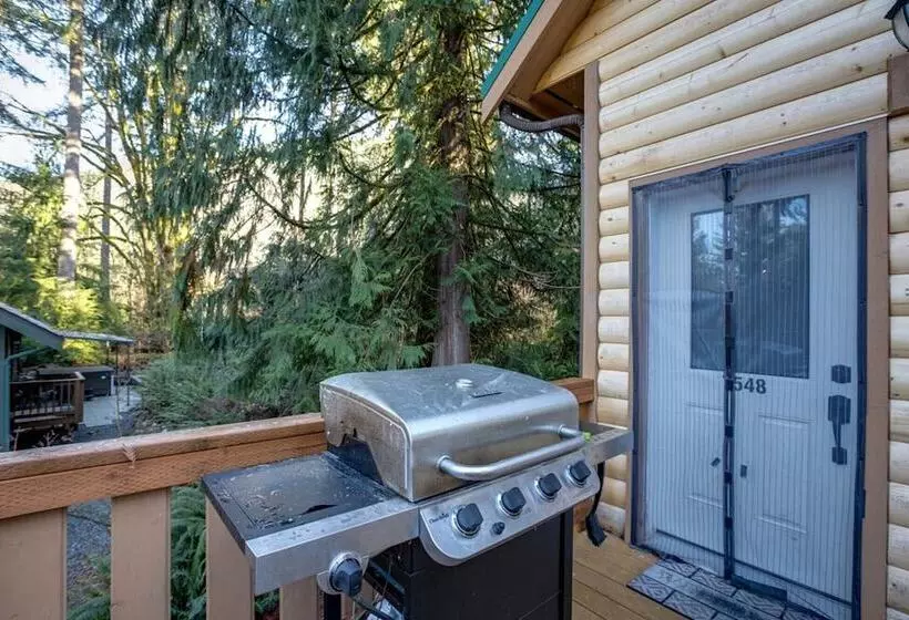 Mt Baker Lodging Cabin 2  Sleeps 8