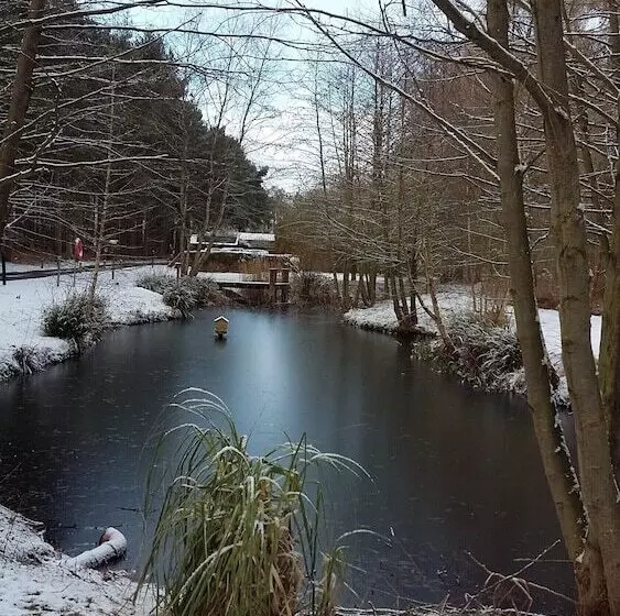 Lomakeskus Hollicarrs   Wildflower Lodge